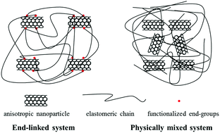 Graphical abstract: Tuning the structure and mechanical property of polymer nanocomposites by employing anisotropic nanoparticles as netpoints