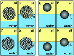 Attachment of composite porous supra-particles to air–water and oil ...