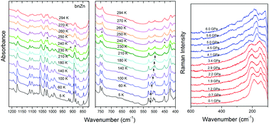 Graphical abstract: Temperature- and pressure-dependent studies of niccolite-type formate frameworks of [NH3(CH2)4NH3][M2(HCOO)6] (M = Zn, Co, Fe)