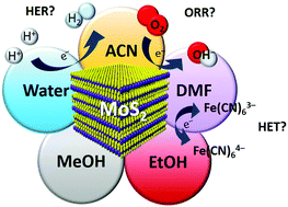 Graphical abstract: The effect of varying solvents for MoS2 treatment on its catalytic efficiencies for HER and ORR