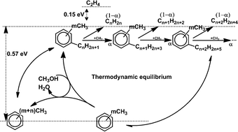 Graphical abstract: Equilibrium analysis of methylbenzene intermediates for a methanol-to-olefins process