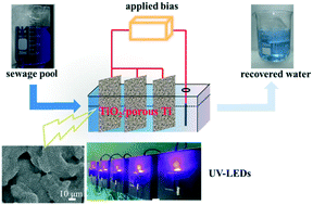 Graphical abstract: Hierarchical TiO2 nanonetwork–porous Ti 3D hybrid photocatalysts for continuous-flow photoelectrodegradation of organic pollutants