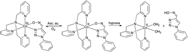 Graphical abstract: Investigation of cobalt(iii)-triazole systems as prototypes for hypoxia-activated drug delivery