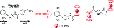 Graphical abstract: Assessment of the nematocidal activity of metallocenyl analogues of monepantel