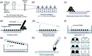 Graphical abstract: Magnetic force-assisted self-locking metallic bead array for fabrication of diverse concave microwell geometries