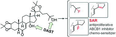 Graphical abstract: Synthesis and in vitro evaluation of the antitumor potential and chemo-sensitizing activity of fluorinated ecdysteroid derivatives