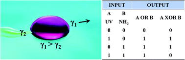 Graphical abstract: Reconfigurable OR and XOR logic gates based on dual responsive on–off–on micromotors