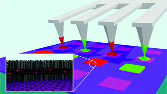 Graphical abstract: Self-limiting multiplexed assembly of lipid membranes on large-area graphene sensor arrays