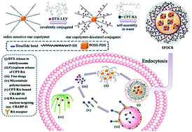 Graphical abstract: Subcellular co-delivery of two different site-oriented payloads for tumor therapy