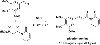 Graphical abstract: Horner–Wadsworth–Emmons approach to piperlongumine analogues with potent anti-cancer activity