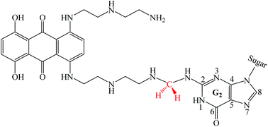 Graphical abstract: Isolation and structural analysis of the covalent adduct formed between a bis-amino mitoxantrone analogue and DNA: a pathway to major–minor groove cross-linked adducts