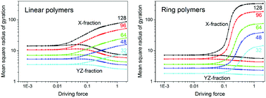 Graphical abstract: Role of chain ends in coil deformation of driven single polymer