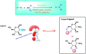 Graphical abstract: Combined experimental/theoretical study of d-glucosamine promoted Ullmann-type C–N coupling catalyzed by copper(i): does amino really count?