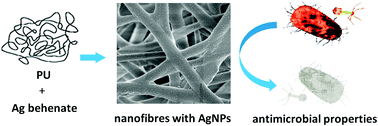 Characterisation of morphological, antimicrobial and leaching ...