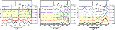 Graphical abstract: Surface enhanced Raman scattering based reaction monitoring of in vitro decyclization of creatinine → creatine