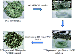 Graphical abstract: Leaching of metals from printed circuit board powder by an Aspergillus niger culture supernatant and hydrogen peroxide