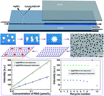 Graphical abstract: In situ dispersion of oil-based Ag nanocolloids by microdroplet coalescence and their applications in SERS detection