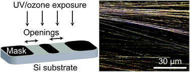 Graphical abstract: Wettability gradient-induced alignment of peptide nanotubes as templates for biosensing applications