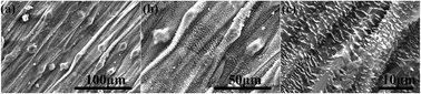 Biomimetic fabrication of robust self-assembly superhydrophobic ...