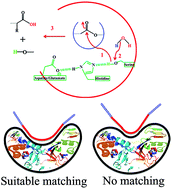 Graphical abstract: Controlled biodegradation of polymers using nanoparticles and its application