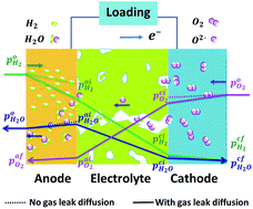 Graphical abstract: Gas leak diffusion induced polarization in submicro/nanoscale non-tight electrolytes of solid oxide fuel cells