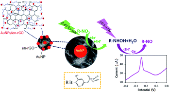 Graphical abstract: Electrochemical sensor based on gold nanoparticles/ethylenediamine-reduced graphene oxide for trace determination of fenitrothion in water