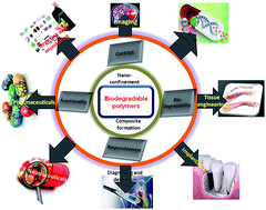 Graphical abstract: Biodegradable polymeric nanostructures in therapeutic applications: opportunities and challenges