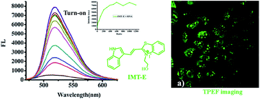 Graphical abstract: Turn-on fluorescent probes that can light up endogenous RNA in nucleoli and cytoplasm of living cells under a two-photon microscope