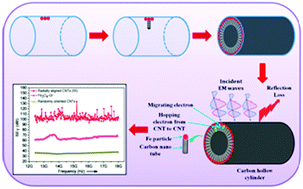 Graphical abstract: New emerging radially aligned carbon nano tubes comprised carbon hollow cylinder as an excellent absorber for electromagnetic environmental pollution