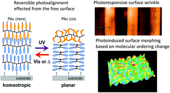 Graphical abstract: Light-directed alignment, surface morphing and related processes: recent trends