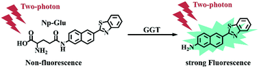 Graphical abstract: An efficient two-photon fluorescent probe for measuring γ-glutamyltranspeptidase activity during the oxidative stress process in tumor cells and tissues