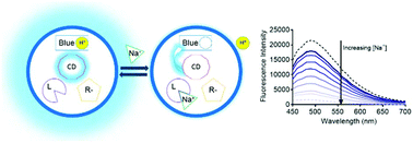 Graphical abstract: Ionophore-based optical nanosensors incorporating hydrophobic carbon dots and a pH-sensitive quencher dye for sodium detection