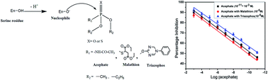 Graphical abstract: An electrochemical algal biosensor based on silica coated ZnO quantum dots for selective determination of acephate