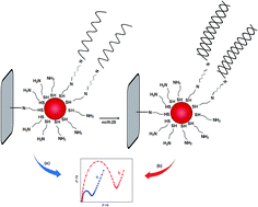 Graphical abstract: Application of cysteamine-capped gold nanoparticles for early detection of lung cancer-specific miRNA (miR-25) in human blood plasma