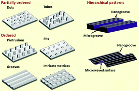 Graphical abstract: The effect of ordered and partially ordered surface topography on bone cell responses: a review