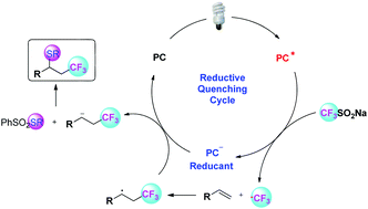 Graphical abstract: Visible-light-induced thiotrifluoromethylation of terminal alkenes with sodium triflinate and benzenesulfonothioates