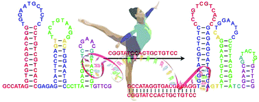 Graphical abstract: The design of a mechanical wave-like DNA nanomachine for the fabrication of a programmable and multifunctional molecular device