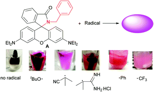 Graphical abstract: Development of an indicator for the direct visualization of radical intermediates in organic reactions