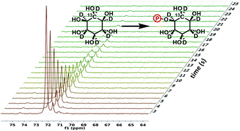 Graphical abstract: Perdeuterated and 13C-enriched myo-inositol for DNP assisted monitoring of enzymatic phosphorylation by inositol-3-kinase