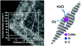 Graphical abstract: Facile synthesis of CoNix nanoparticles embedded in nitrogen–carbon frameworks for highly efficient electrocatalytic oxygen evolution