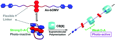 Graphical abstract: Photolysis of polymeric self-assembly controlled by donor–acceptor interaction