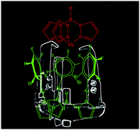 Graphical abstract: Lead encapsulation by a golden clamp through multiple electrostatic, metallophilic, hydrogen bonding and weak interactions