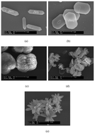 Graphical abstract: Preparation, properties, formation mechanisms, and cytotoxicity of calcium oxalate monohydrate with various morphologies