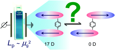 Unraveling the structure and exciton coupling for multichromophoric ...