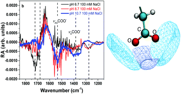 Graphical abstract: Sodium–carboxylate contact ion pair formation induces stabilization of palmitic acid monolayers at high pH