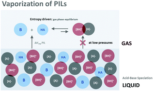 Graphical abstract: Vaporization of protic ionic liquids derived from organic superbases and short carboxylic acids