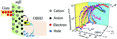 Graphical abstract: In situ probing electronic dynamics at organic bulk heterojunction/aqueous electrolyte interfaces by charge modulation spectroscopy