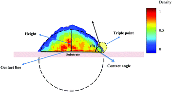 Graphical abstract: Molecular investigation of evaporation of biodroplets containing single-strand DNA on graphene surface