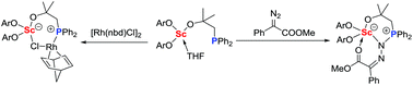 Graphical abstract: Frustrated Lewis pair behavior of a neutral scandium complex