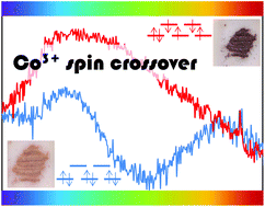 Graphical abstract: Probing Co- and Fe-doped LaMO3 (M = Ga, Al) perovskites as thermal sensors